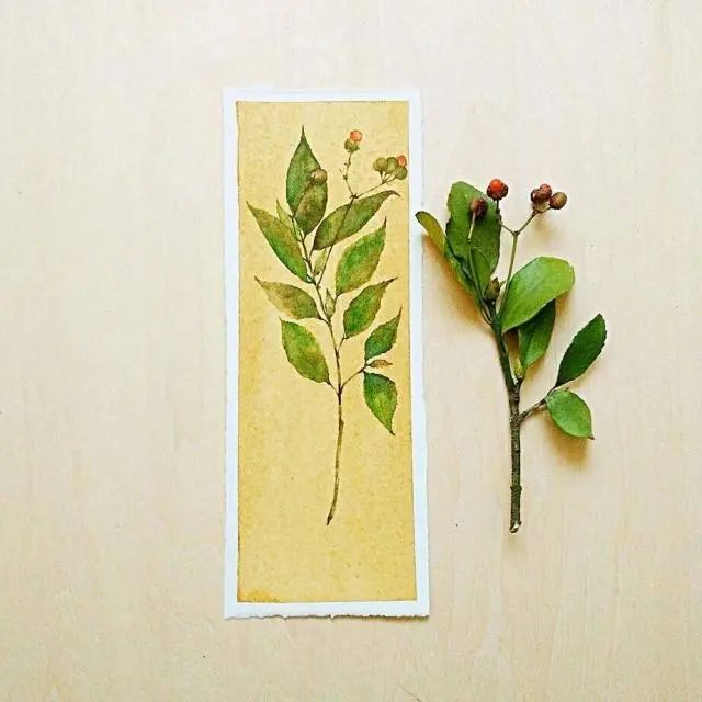 朋友圈精挑细选的人生金句，内容引起极度舒适！