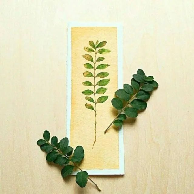 朋友圈精挑细选的人生金句，内容引起极度舒适！