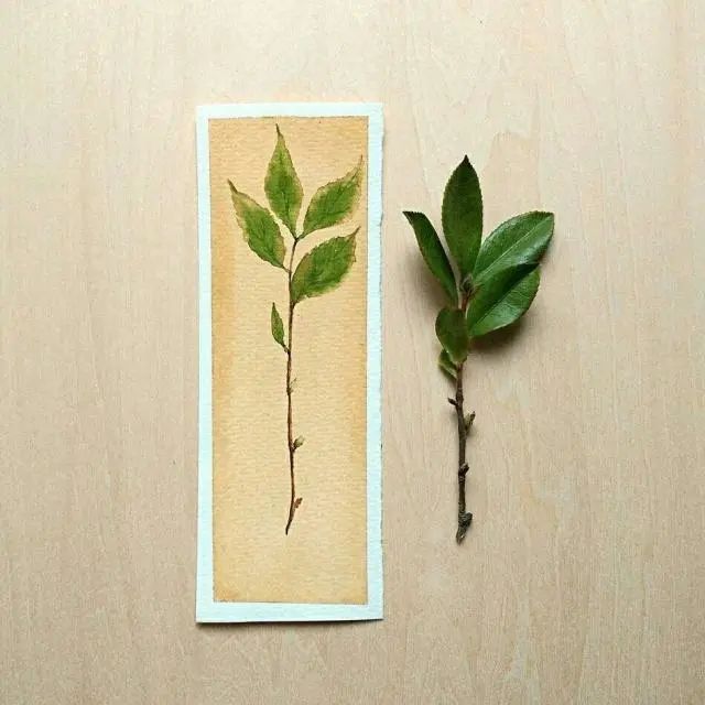 朋友圈精挑细选的人生金句，内容引起极度舒适！