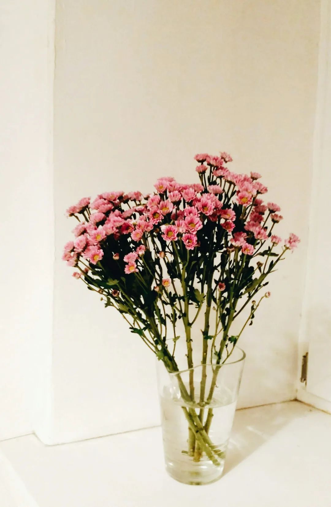 七言:现在偷的闲就是未来生活的苦