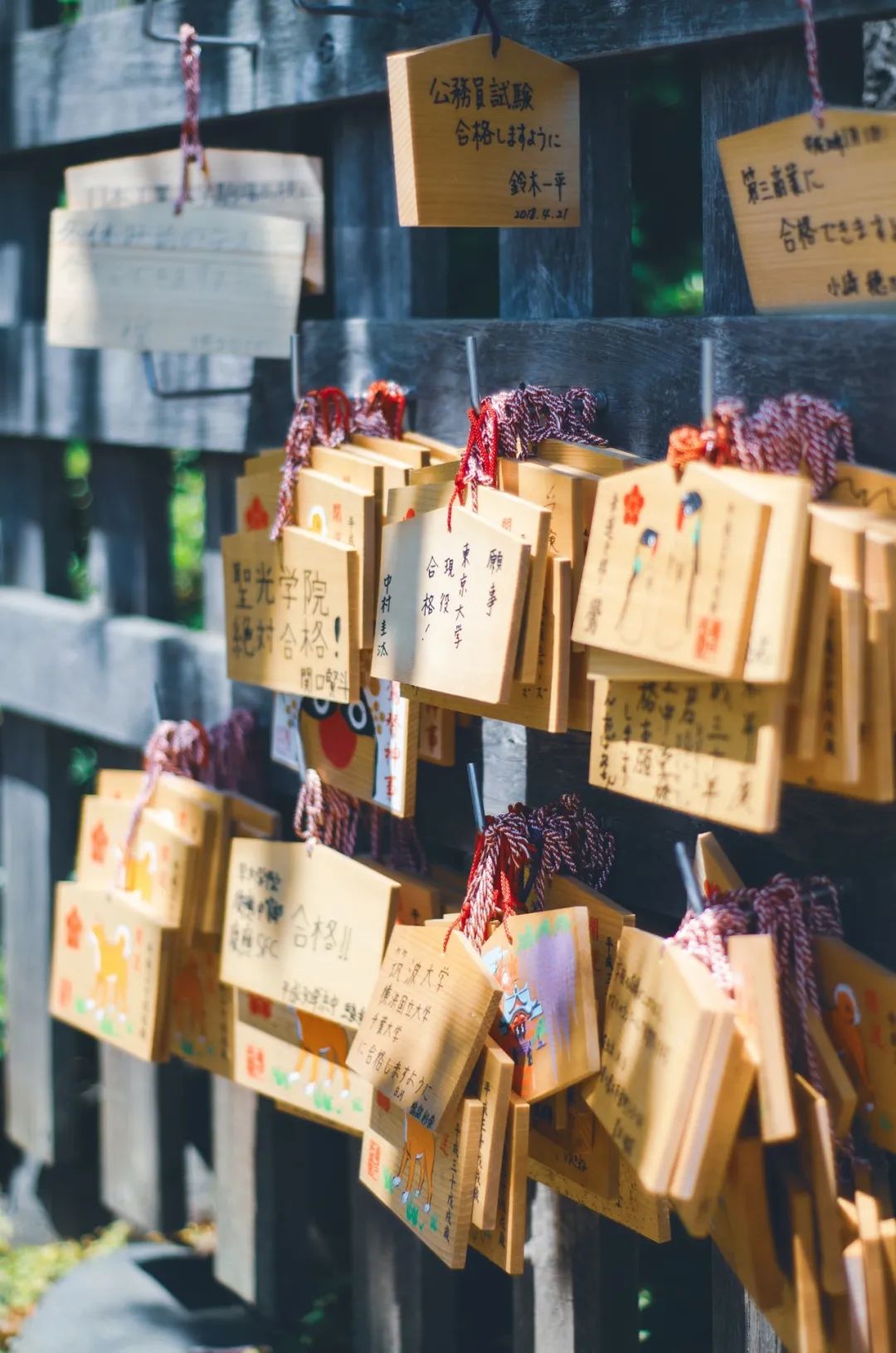 七言：记得把普通的日子也过得浪漫一些