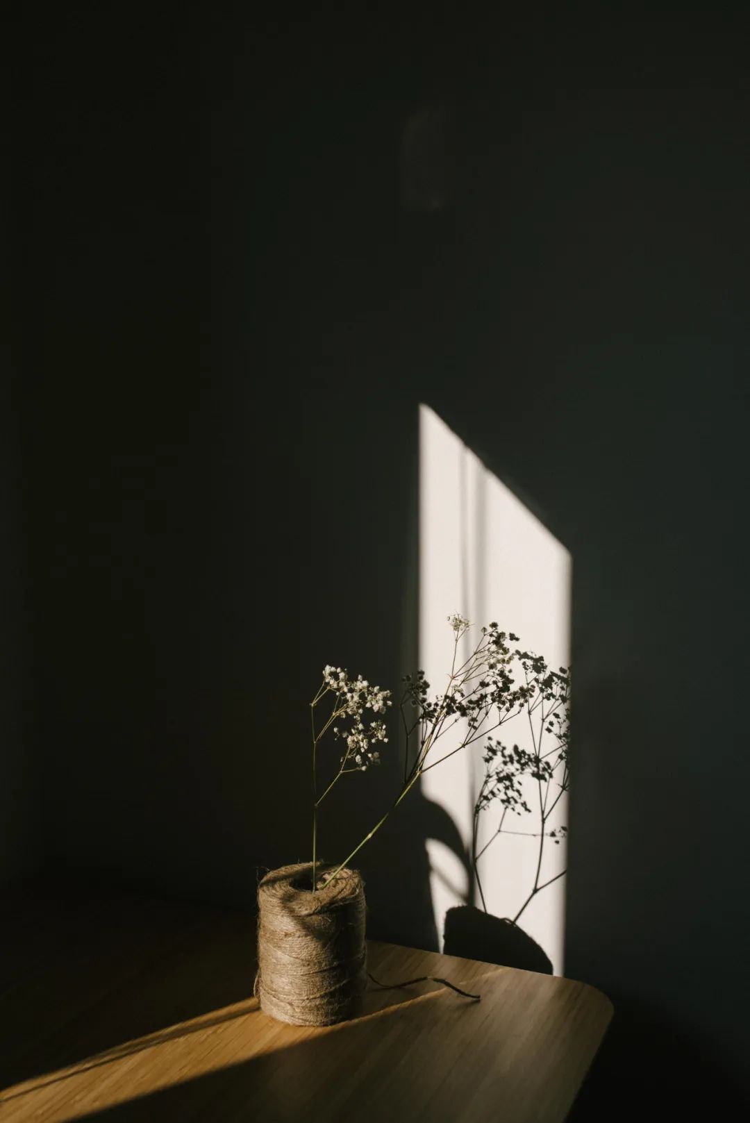 七言:世间皆苦,唯有自渡