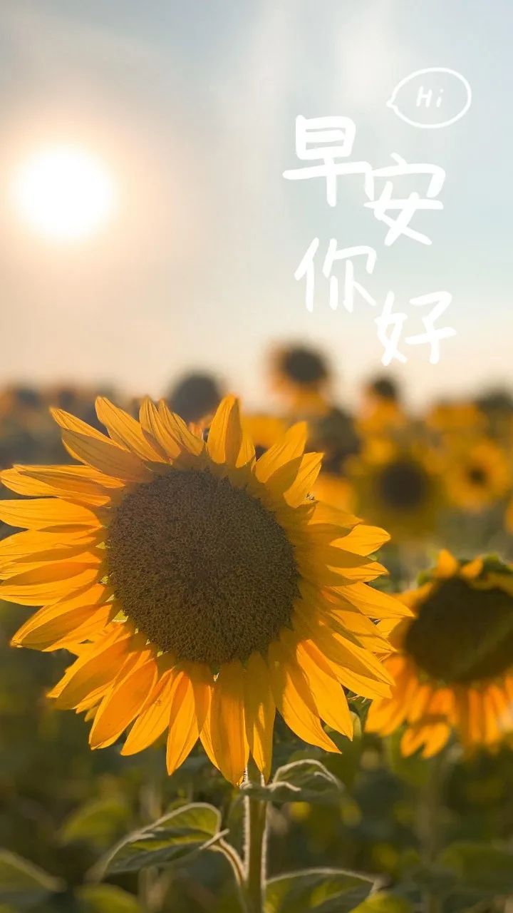 七言：优于别人，并不高贵
