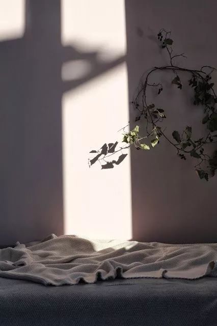 七言：人们嘲笑的不是你的梦想，而是