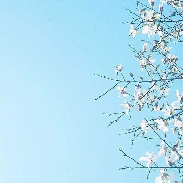 朋友圈深入人心的人生说说，根本让人无法反驳！