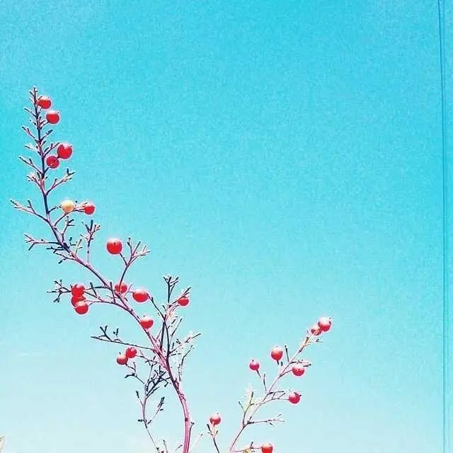 朋友圈深入人心的人生说说，根本让人无法反驳！