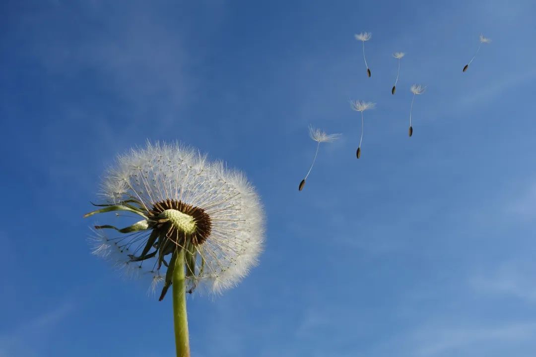 七言：岁月深长，万物有期。