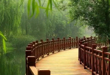心中有你，余生都是你，你是我每天都要想念的人