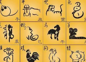 生肖知识-十二生肖属性知识